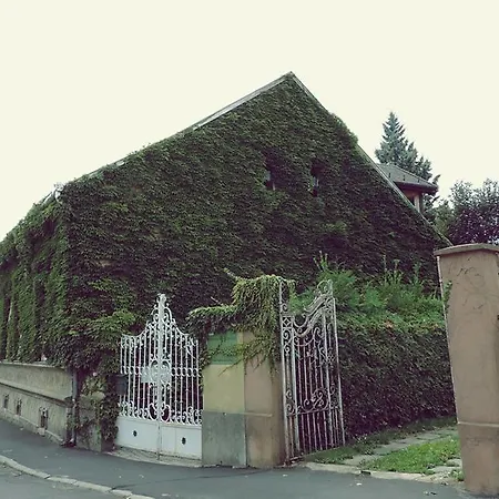 Gasthof Golden Yacca Vendeghaz