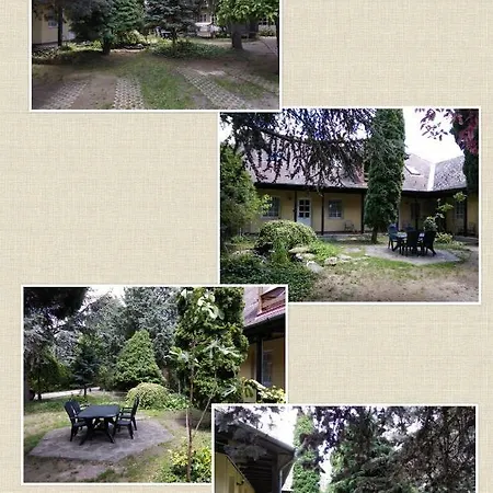 Golden Yacca Vendeghaz