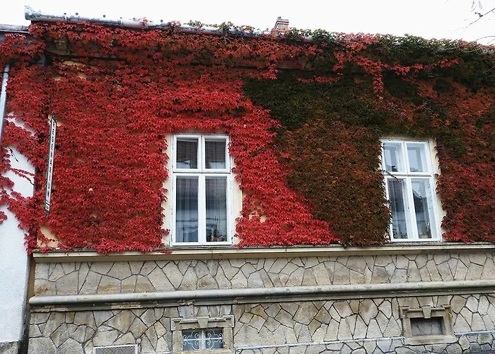 Golden Yacca Vendeghaz Pensión Keszthely