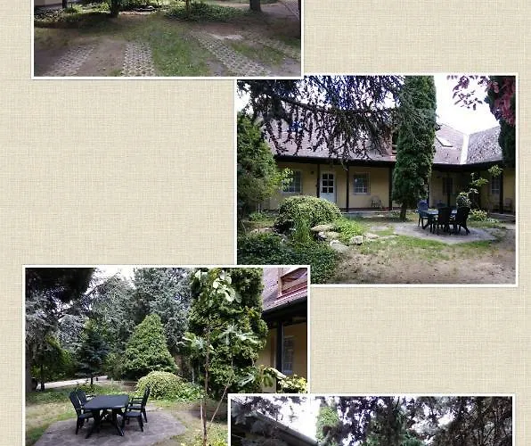 Golden Yacca Vendeghaz